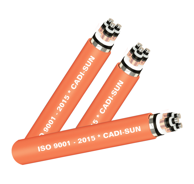 Cáp 3 lõi màn chắn băng đồng giáp băng thép-DSTA/CTS-W 3C