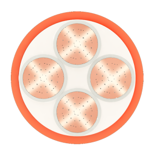 Cáp chậm cháy CADISUN FSN-CXV 4X