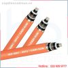 Cáp điện Cadisun 1 lõi, màn chắn băng đồng, không giáp - CXV(AXV)/CTS-W 1x? - 6/10 (12)kV