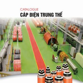 Catalogue cap trung the cadisun 2026